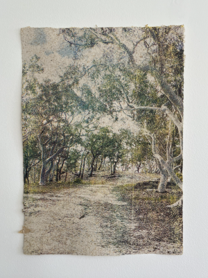 Ruby Rigg-Smith, 'That's Just The Way',, silkscreen print on handmade paper, paperbark and recycled cotton paper