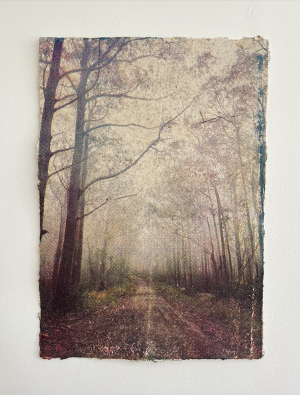 Ruby Rigg-Smith'That's Just The Way', silkscreen print on handmade paper, paperbark and recycled cotton paper
