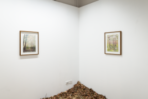 Ruby Rigg Smith, New Contemporaries, 2025, installation Photo: Document Photography