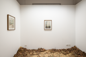 Ruby Rigg Smith, New Contemporaries, 2025, installation Photo: Document Photography