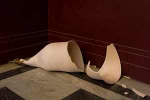 Victoria Grace, New Contemporaries, 2025, installation Photo: Document Photography